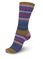 Пряжа носочная (150 гр.) Schachenmayr Regia 6 ниток, 75% шерсть, 25% полиамид