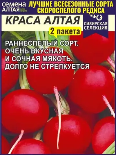 Семена Редис Краса Алтая