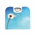 Весы напольн SA-5000-10 130кг мех одуванчик