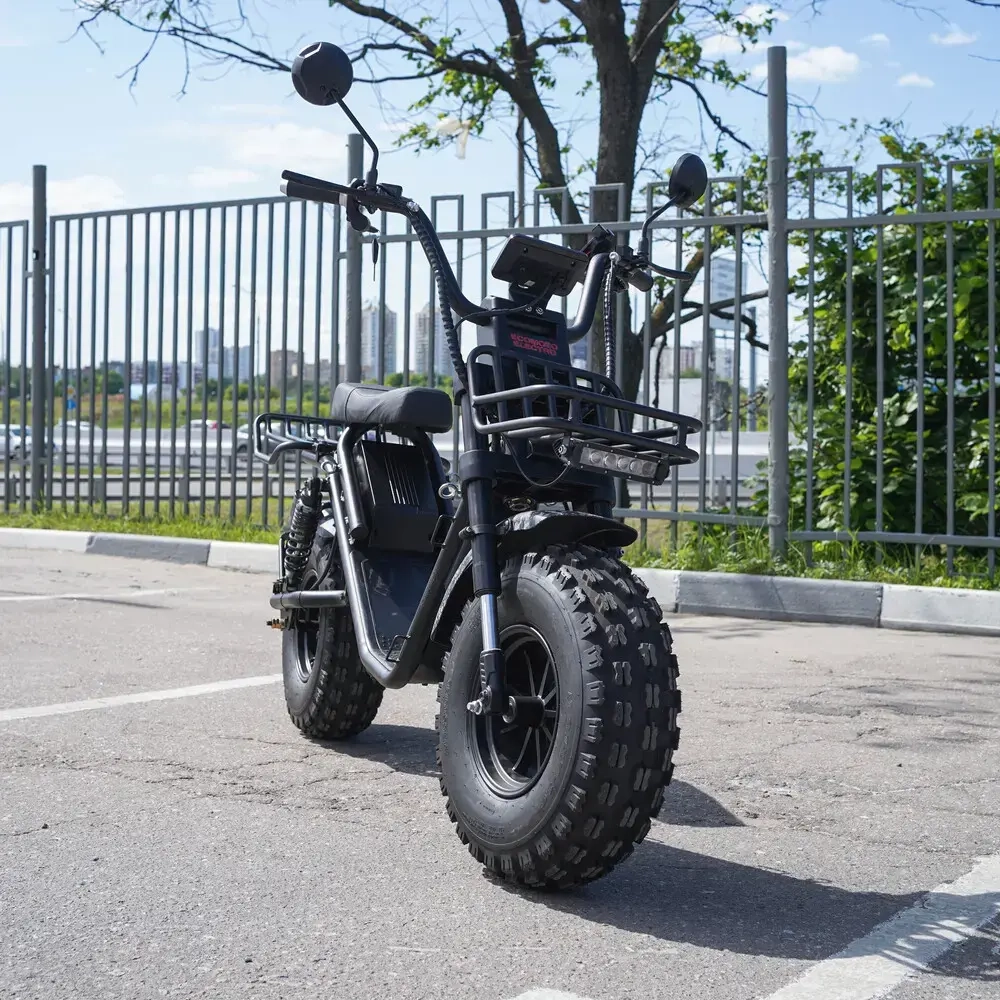EcoMoto Lion Off-Road E1200W Back Edition