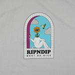  Футболка мужская Ripndip Window Daze артикул:RND6082 - купить в магазине Дайс