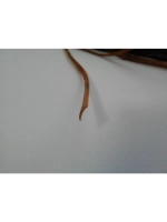 Ротанг для плетения сумок