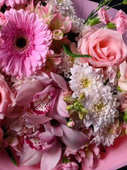 Улыбка мамы