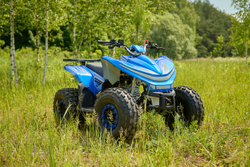 Квадроцикл SHARMAX Cross 180 RX