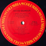 David Gilmour ‎– David Gilmour (США)