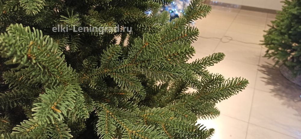 Искусственная ель «Монтерей» (Литая хвоя) 180 см / 1.8 м