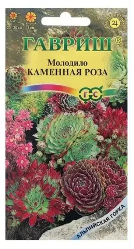 Семена цветов Молодило "Каменная Роза", 0,01 г