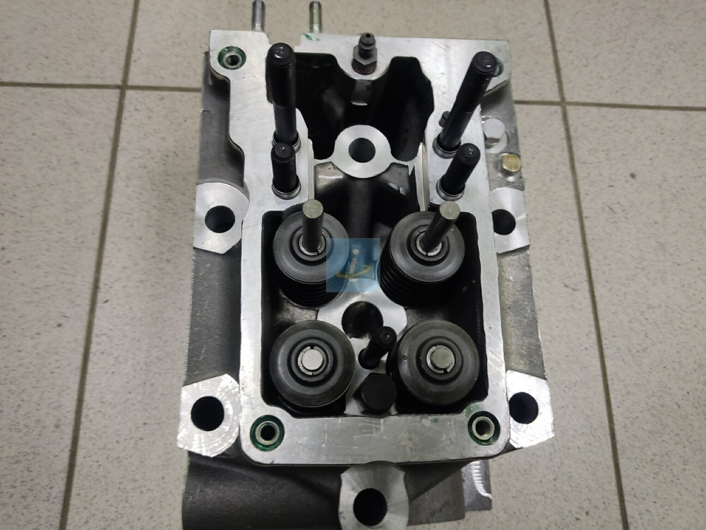 Головка цилиндров с клапанами 840.1003010-20