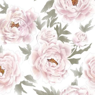 Пионы эскизно