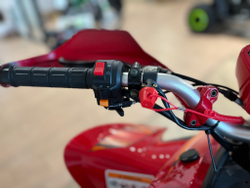 Квадроцикл Yacota TYPHOON 250 LD