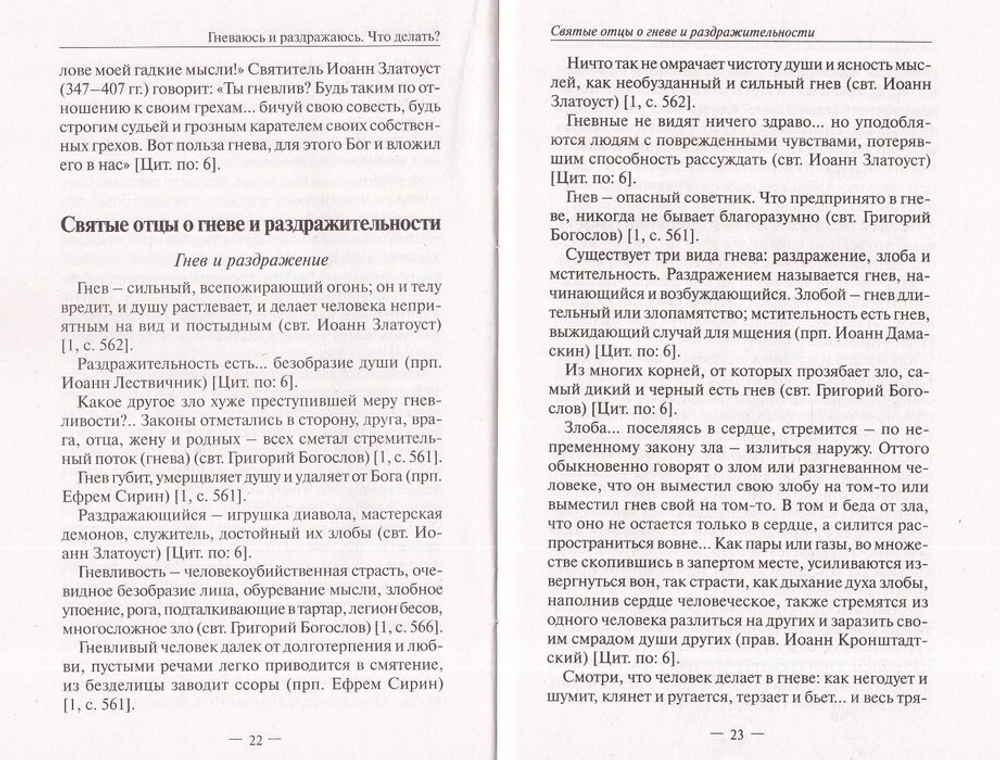 Гневаюсь и раздражаюсь. Что делать? Основы православия