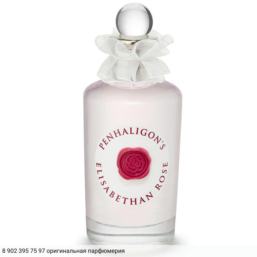 Elisabethan Rose 2018