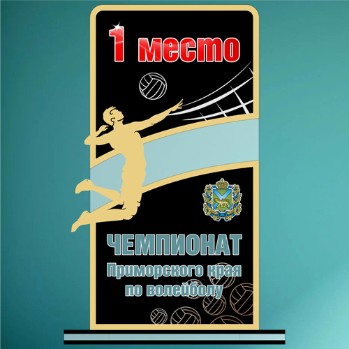 Акриловый приз Волейбол 170-261