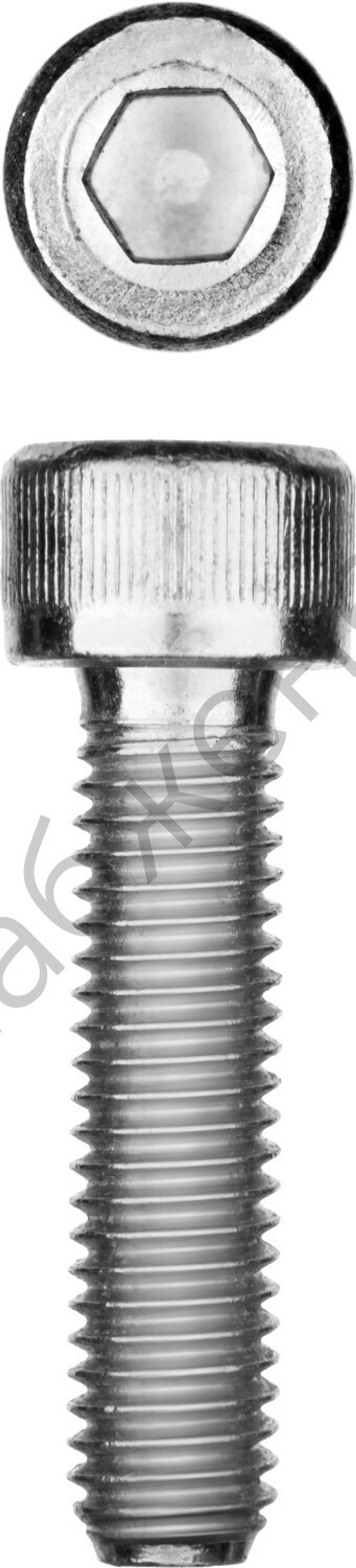 ЗУБР DIN 912 кл. пр. 8.8, М12 x 35 мм, винт свнутренним шестигранником, цинк, 5 кг, Профессионал (30318-12-035)