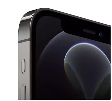 iPhone 12 Pro Max 512 GB Graphite (Графитовый)