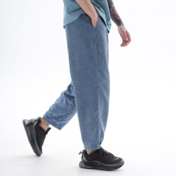 Чиносы ZRD Classic Velvet Синий