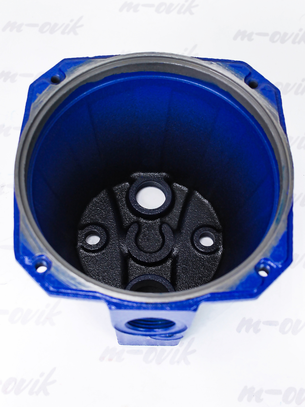 BL1011 (5)