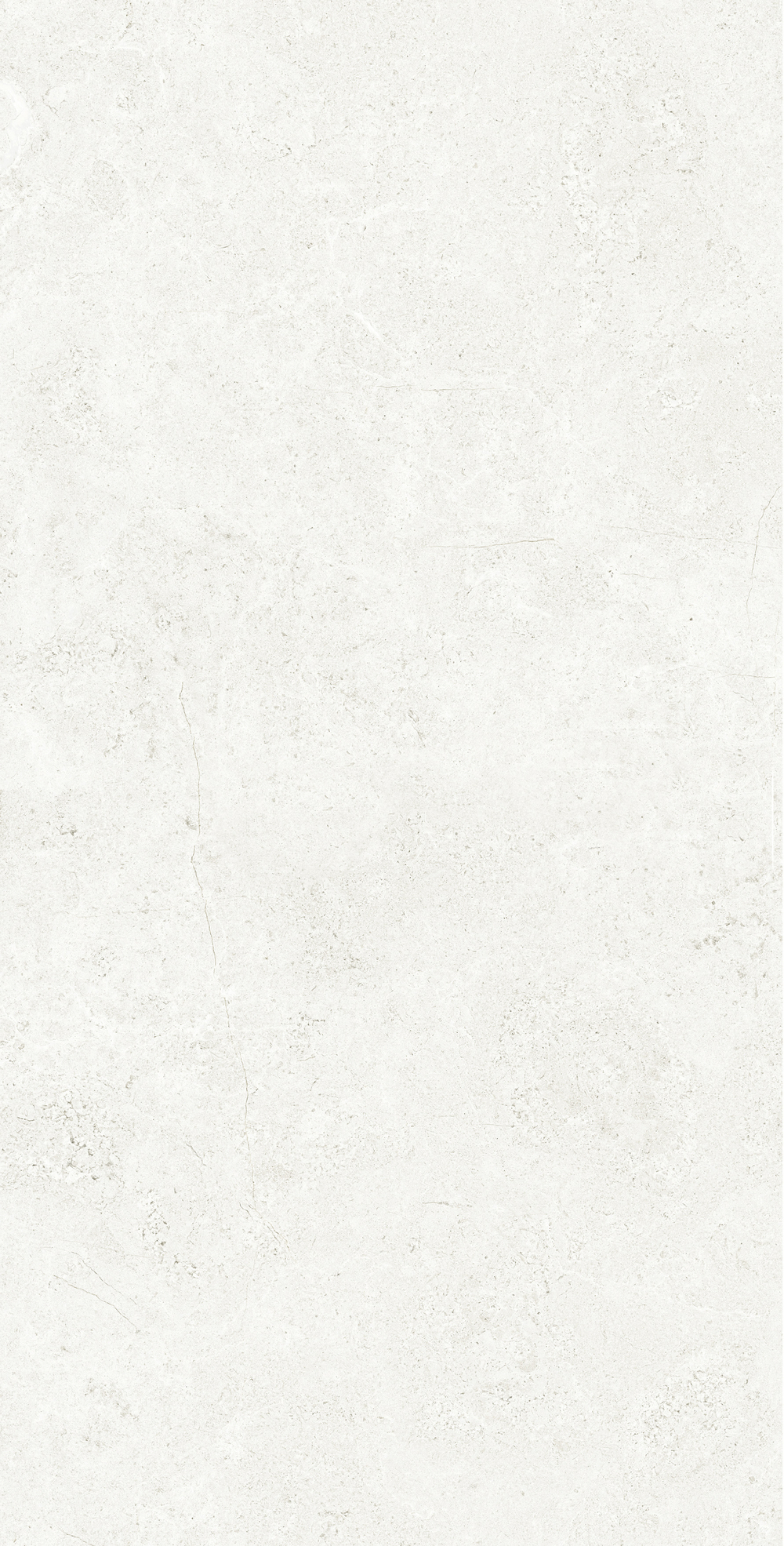 Керамогранит, Creanza, PALATINO BIANCO, 1200x600 мм, матовая с глянцевым эффектом