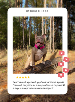 Амортизирующий поводок FATBOY RUFF 120 см Zee.Dog