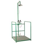 Аварийная платформа с фонтаном и душем нерж. сталь BOCCHISF SCP730SS зеленый