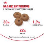 Royal Canin Maxi Starter Макси Стартер мазэ энд бэбидог Корм для щенков крупных пород до 2-х месяцев беременных и кормящих собак 15кг