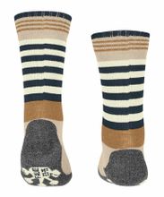 Носки Active Frog FALKE 11943/4650