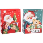 Пакет подарочный «Дедушка Мороз» 26*32*10 см, микс