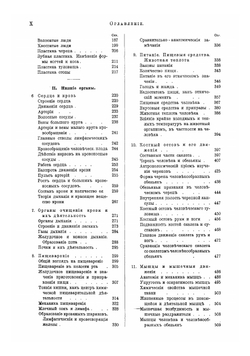 Человек. Том 1 | И. Ранке