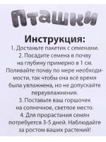 Набор для опытов Выращиваем травку Пташки