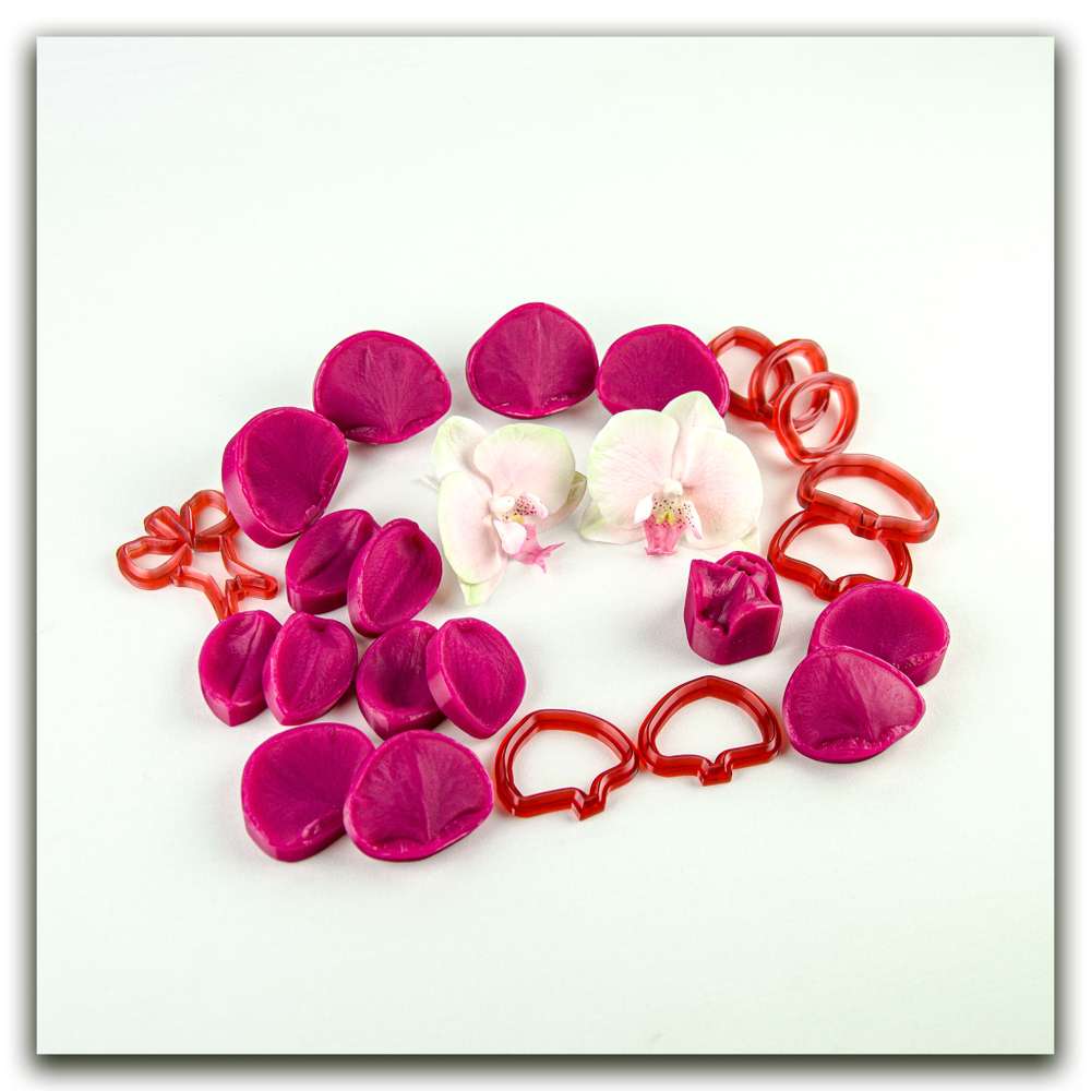 Орхидея фаленопсис M (+боковые лепестки размера S)