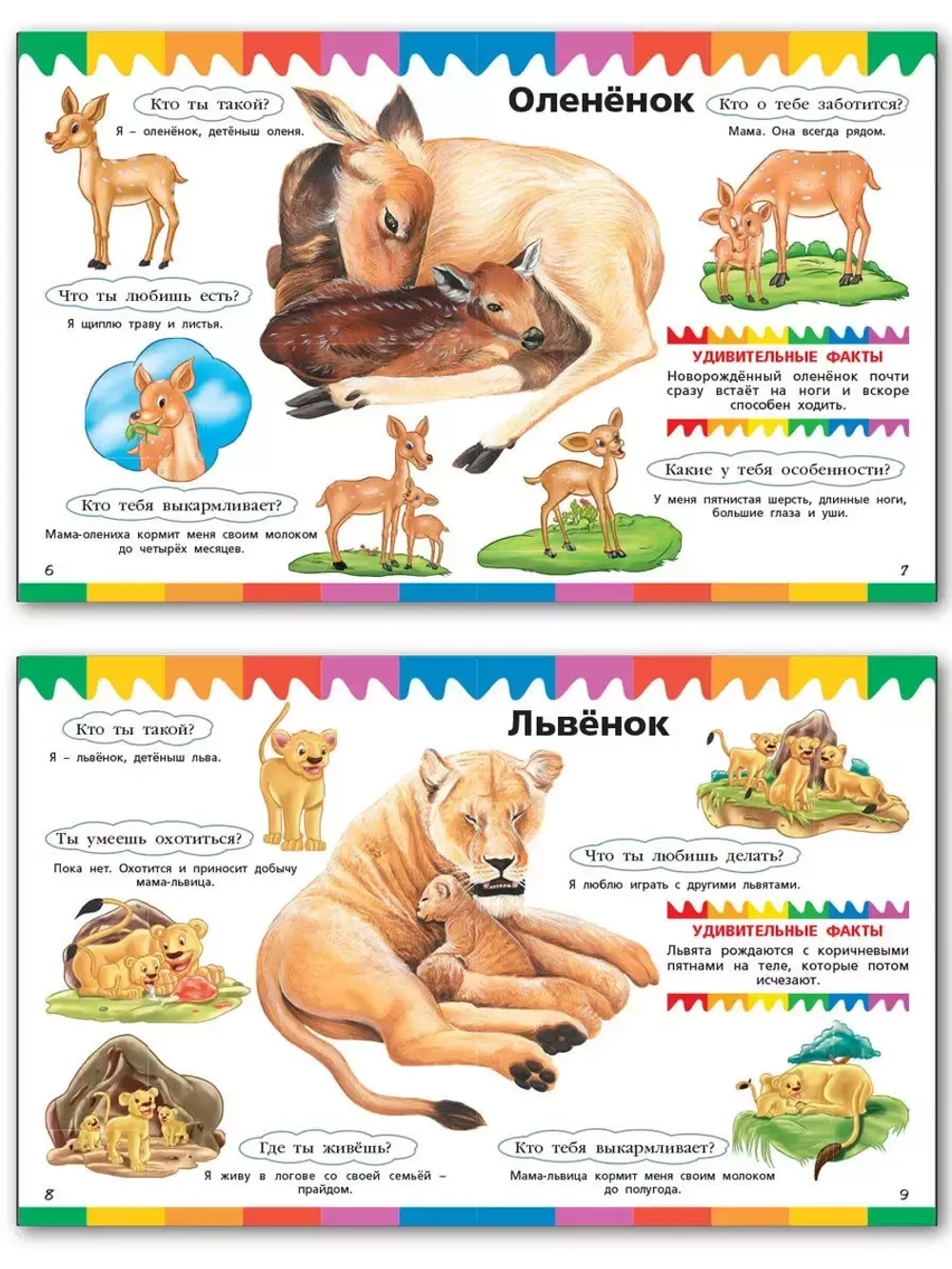 Детеныши животных. Мои первые Вопросы и Ответы