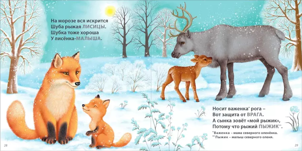 Загадки - рифмы. Подарочное издание
