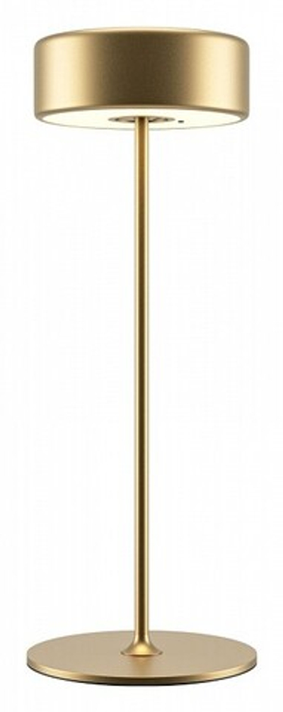 Настольная лампа декоративная Maytoni AI Collaboration MOD229TL-L3G3K2