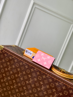 Louis Vuitton Pocket Organizer