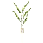 Ветка декоративная «Зимняя свежесть» 70 см, Нежный зеленый