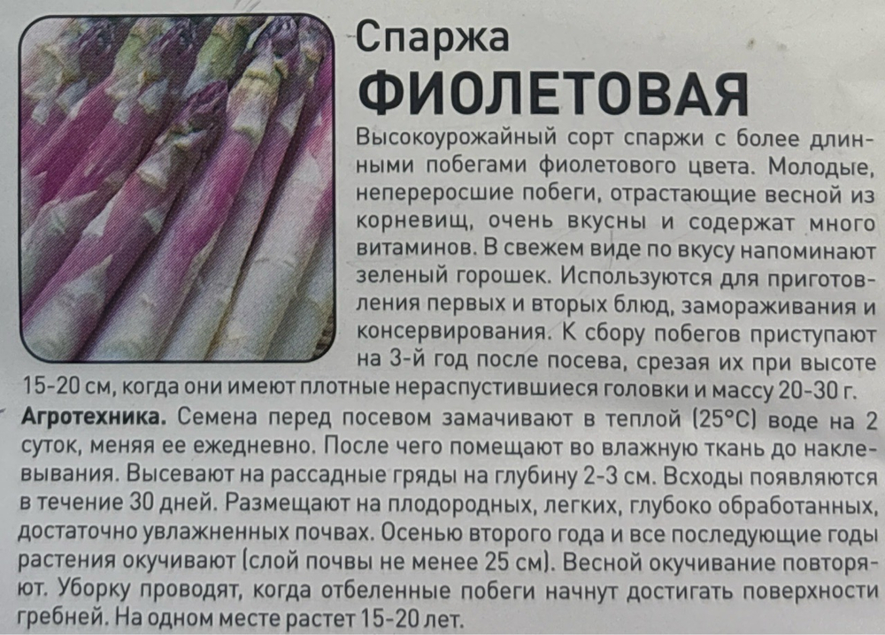 Спаржа Фиолетовая 0,5 г СМЗ-114