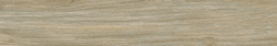 Sherwood Керамогранит оливковый SG511720R 19,6х119,5
