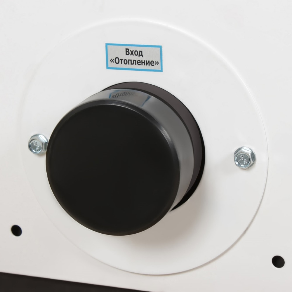 Котел газовый Лемакс Wester Clever 30