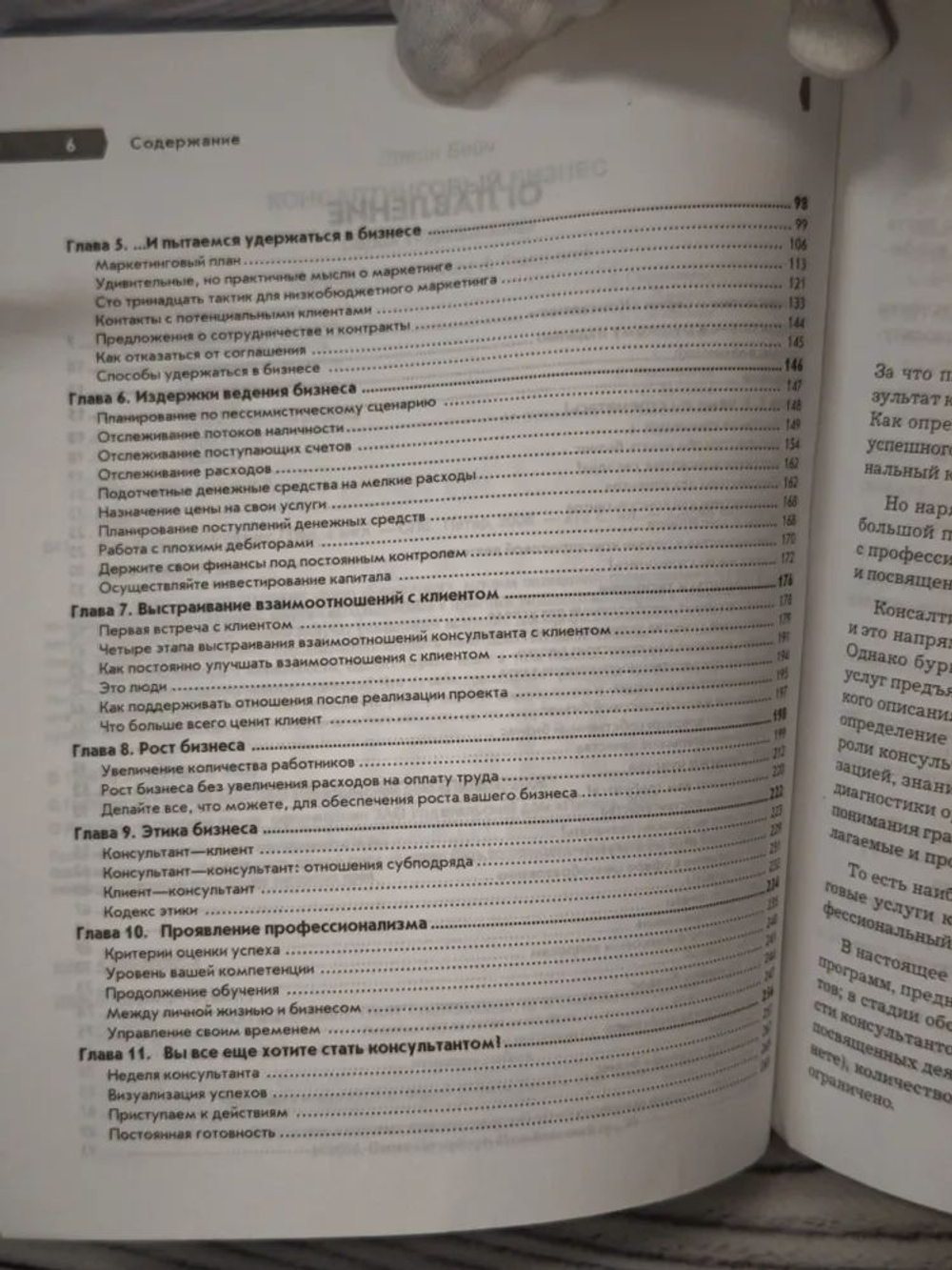 Консалтинговый бизнес. Основы профессионализма