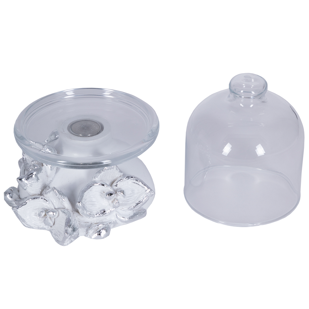 Лимонница Орхидея Лайм Белая