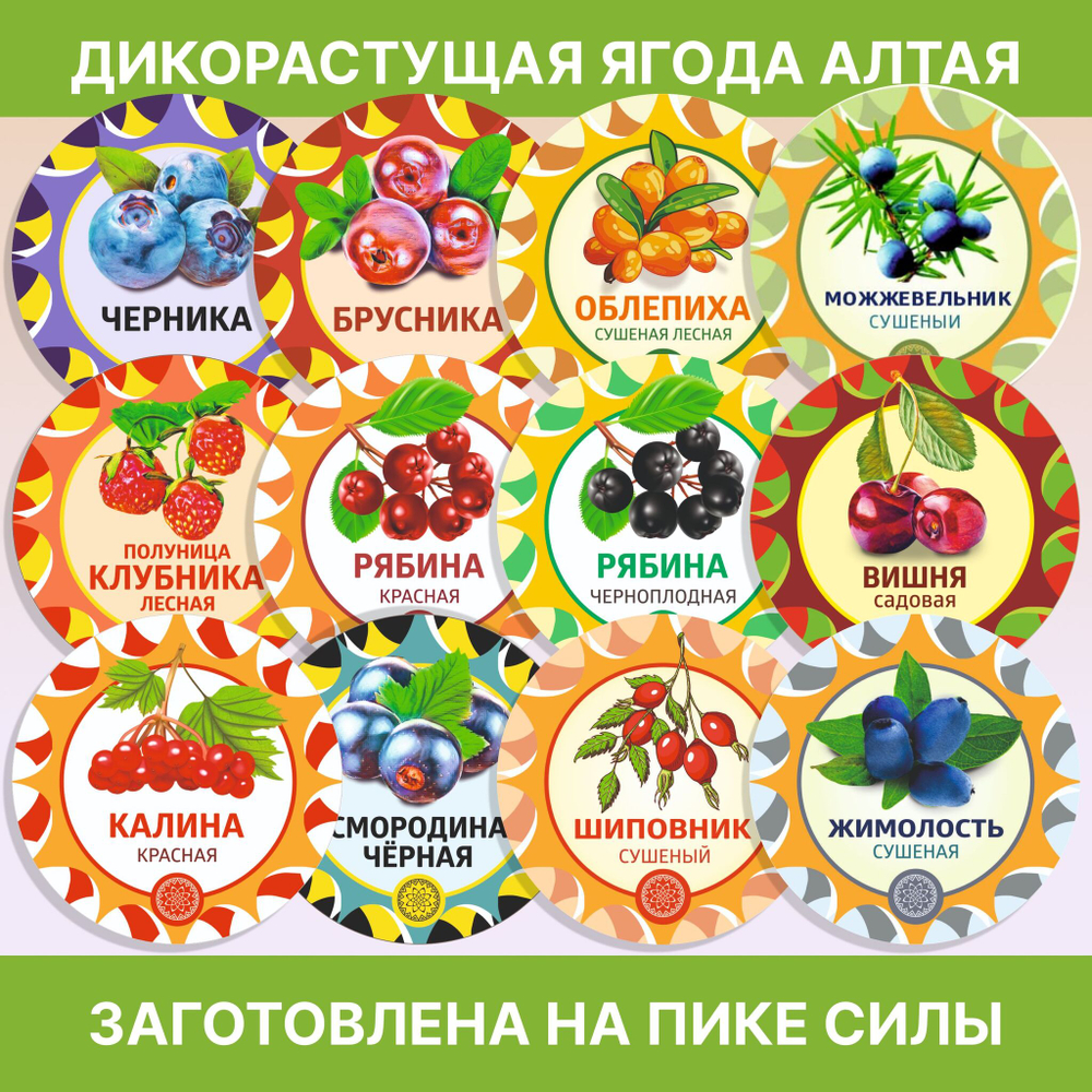 Донник трава.