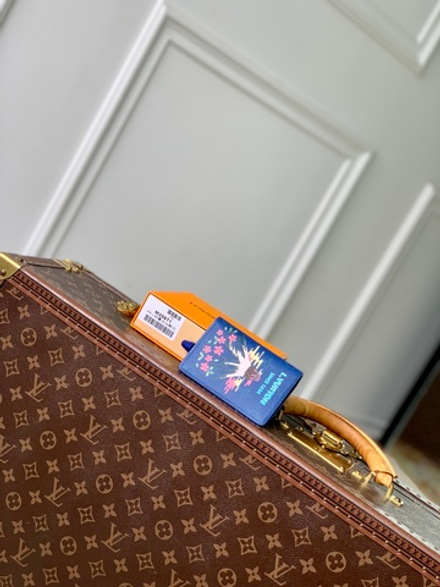 Louis Vuitton Pocket Organizer