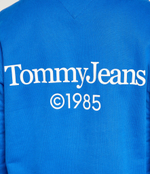 Худи Tommy Jeans - голубой(DM0DM18609)