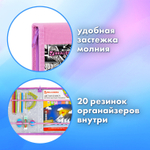Папка на молнии BRAUBERG А4 с ручкой с органайзером 1 отделение "Anime movie" (2 штуки в упаковке)