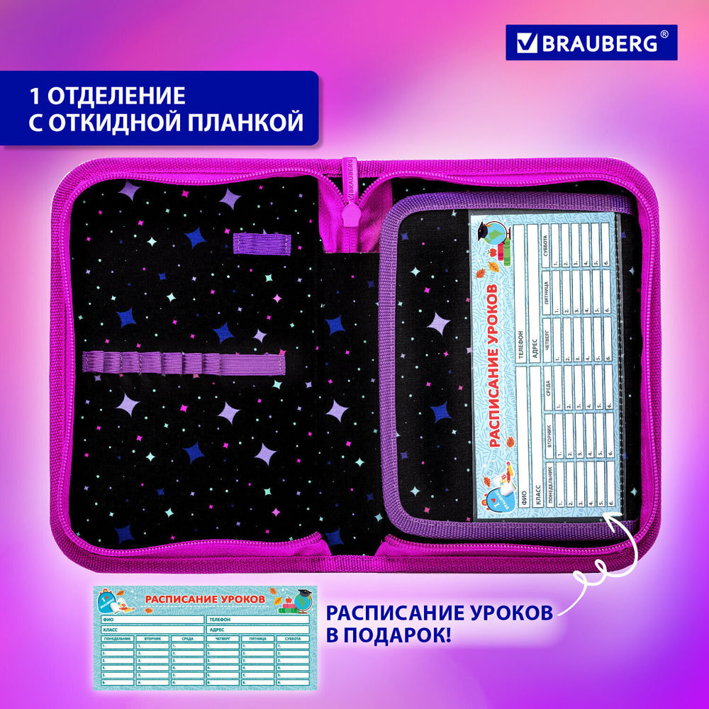 Пенал BRAUBERG 1 отделение 1 откидная планка полиэстер 21х14 см "Anime girl" (2 штуки в упаковке)