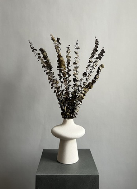 Эвкалипт Бейби Блю стабилизированный хаки