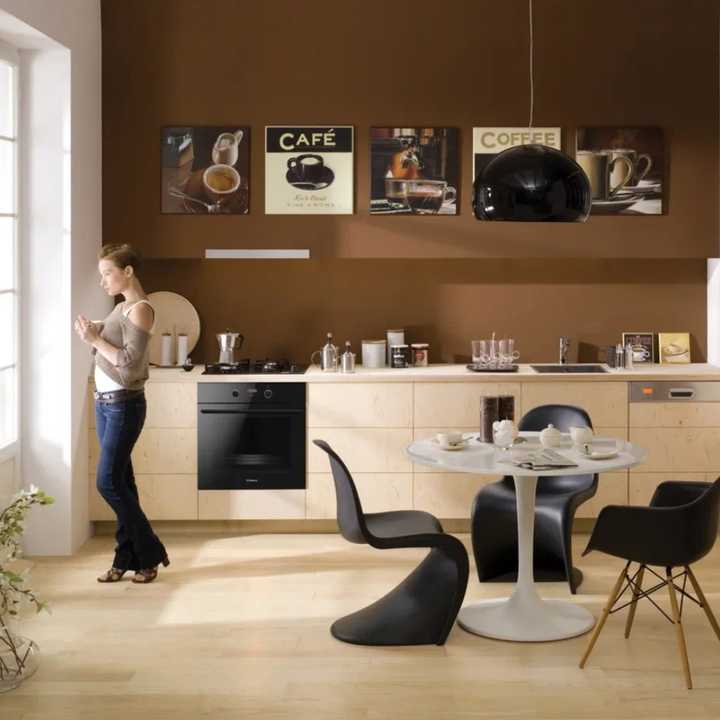 Духовой шкаф Hansa BOES68433