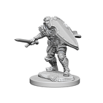 Human Male Paladin / Паладины