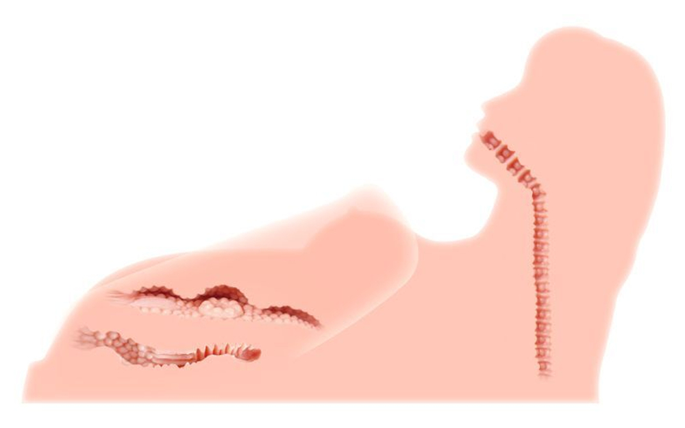 Реалистичный торс-девушка Hera 3 с тремя тугими отверстиями, вибрацией, ротацией и голосом (Цвет: телесный)