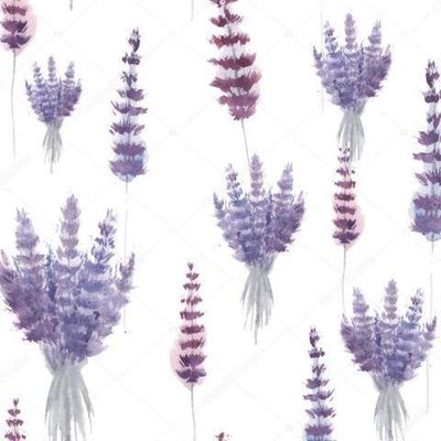 кустики сирени